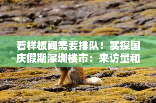 看样板间需要排队！实探国庆假期深圳楼市：来访量和成交量齐增，有项目两天卖了6.6亿元
