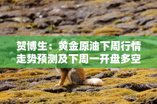 贺博生：黄金原油下周行情走势预测及下周一开盘多空操作建议指导