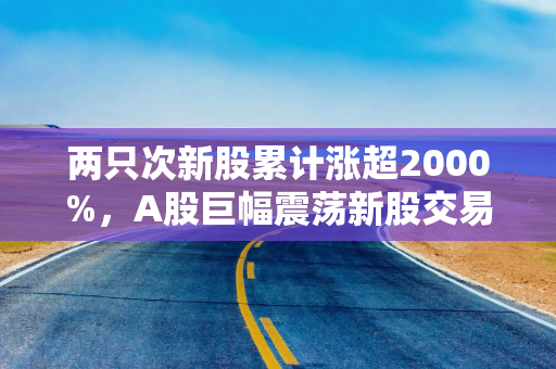 两只次新股累计涨超2000%，A股巨幅震荡新股交易如何参与？