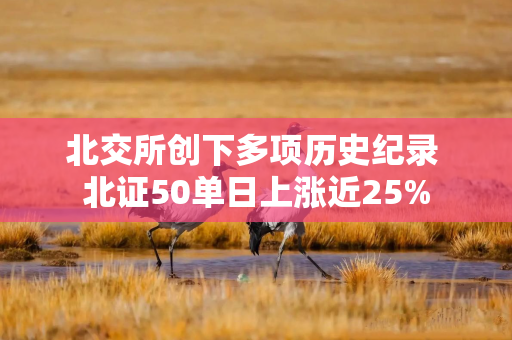 北交所创下多项历史纪录 北证50单日上涨近25%