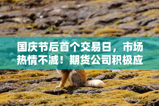 国庆节后首个交易日，市场热情不减！期货公司积极应对，确保业务通畅、风险可控