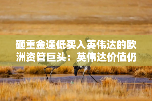 砸重金逢低买入英伟达的欧洲资管巨头：英伟达价值仍被低估