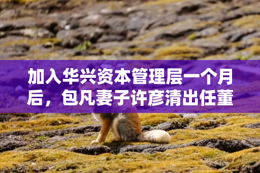 加入华兴资本管理层一个月后，包凡妻子许彦清出任董事会主席