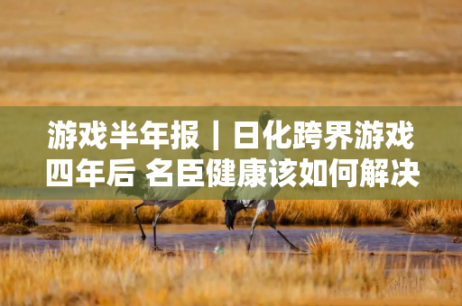 游戏半年报｜日化跨界游戏四年后 名臣健康该如何解决疯狂扩张的“后遗症”？