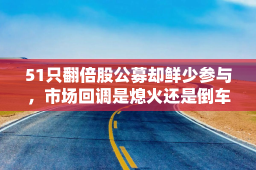 51只翻倍股公募却鲜少参与，市场回调是熄火还是倒车接人？