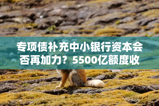 专项债补充中小银行资本会否再加力？5500亿额度收尾年内发行额骤降