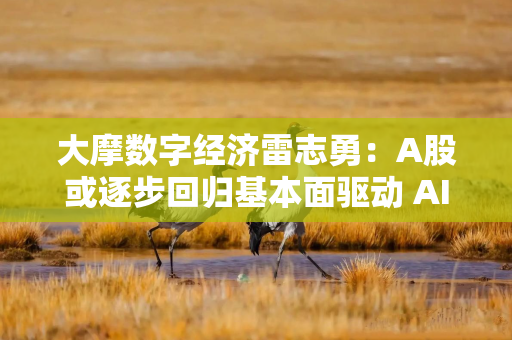 大摩数字经济雷志勇：A股或逐步回归基本面驱动 AI产业链景气度维持向好