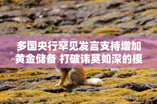多国央行罕见发言支持增加黄金储备 打破讳莫如深的模式