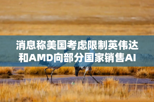消息称美国考虑限制英伟达和AMD向部分国家销售AI芯片
