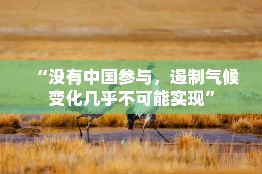 “没有中国参与，遏制气候变化几乎不可能实现”
