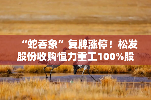 “蛇吞象”复牌涨停！松发股份收购恒力重工100%股权  民营船舶巨头启航