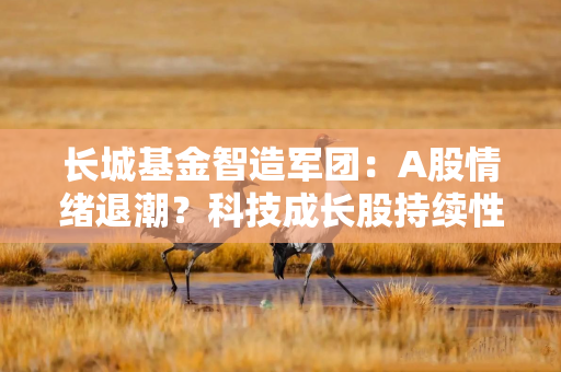 长城基金智造军团：A股情绪退潮？科技成长股持续性或许更强