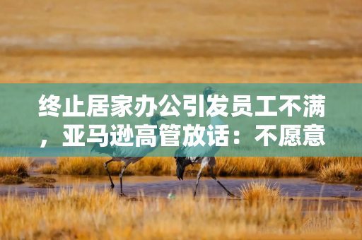 终止居家办公引发员工不满，亚马逊高管放话：不愿意就“滚蛋”！