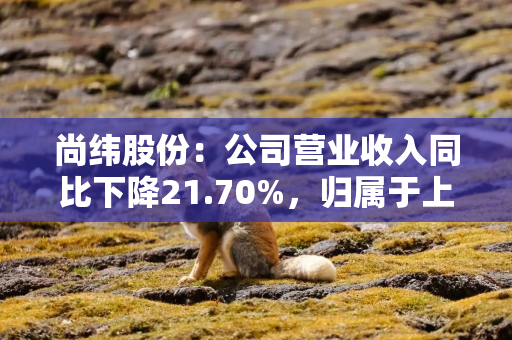 尚纬股份：公司营业收入同比下降21.70%，归属于上市公司股东的净利润同比增长221.57%