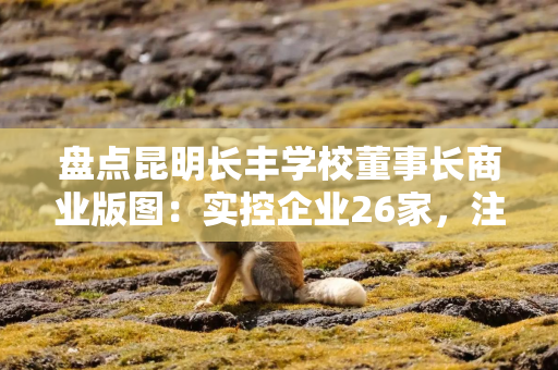 盘点昆明长丰学校董事长商业版图：实控企业26家，注册资金超1.2亿元