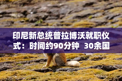 印尼新总统普拉博沃就职仪式：时间约90分钟  30余国政要或代表出席