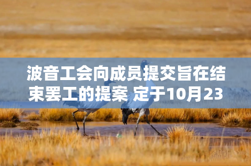 波音工会向成员提交旨在结束罢工的提案 定于10月23日进行投票