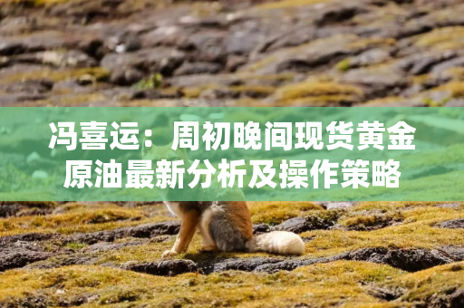 冯喜运：周初晚间现货黄金原油最新分析及操作策略