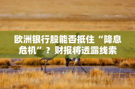 欧洲银行股能否抵住“降息危机”？财报将透露线索