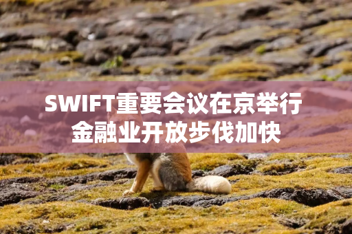 SWIFT重要会议在京举行 金融业开放步伐加快