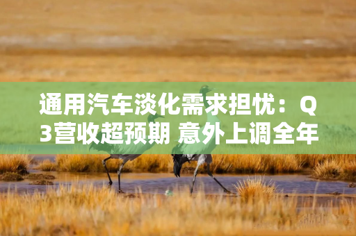 通用汽车淡化需求担忧：Q3营收超预期 意外上调全年利润指引
