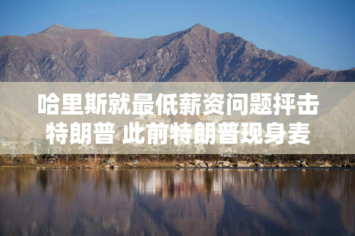 哈里斯就最低薪资问题抨击特朗普 此前特朗普现身麦当劳为竞选造势