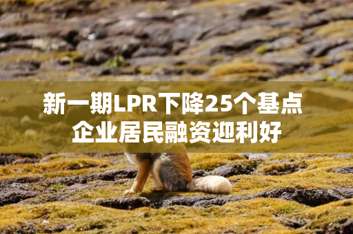 新一期LPR下降25个基点 企业居民融资迎利好