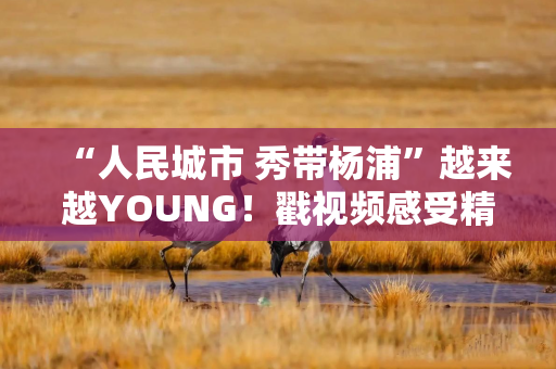 “人民城市 秀带杨浦”越来越YOUNG！戳视频感受精彩瞬间→