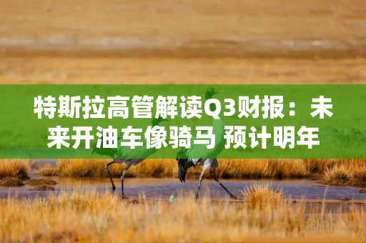 特斯拉高管解读Q3财报：未来开油车像骑马 预计明年上半年推出3万美元内车型