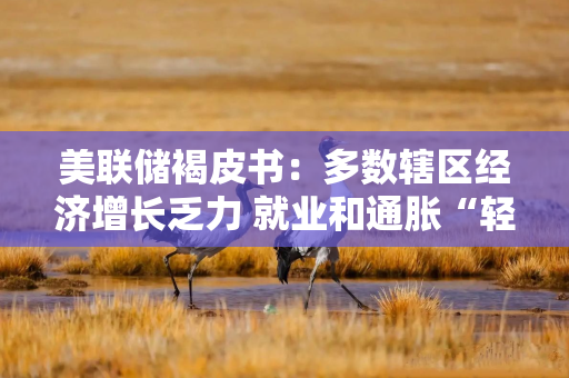 美联储褐皮书：多数辖区经济增长乏力 就业和通胀“轻微或适度”增长