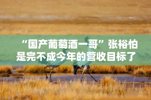 “国产葡萄酒一哥”张裕怕是完不成今年的营收目标了