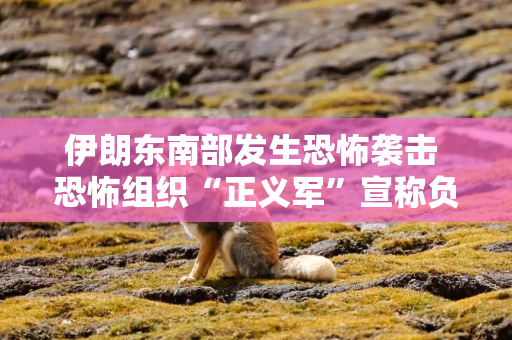 伊朗东南部发生恐怖袭击 恐怖组织“正义军”宣称负责