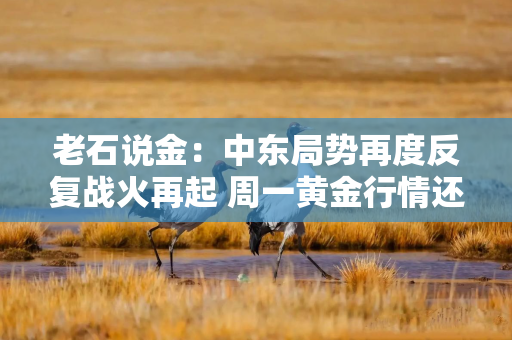老石说金：中东局势再度反复战火再起 周一黄金行情还会大涨吗