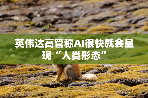 英伟达高管称AI很快就会呈现“人类形态”