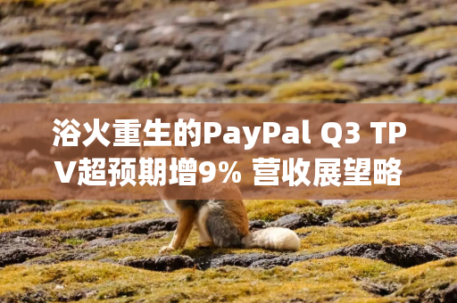 浴火重生的PayPal Q3 TPV超预期增9% 营收展望略逊预期