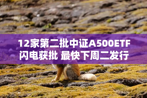 12家第二批中证A500ETF闪电获批 最快下周二发行