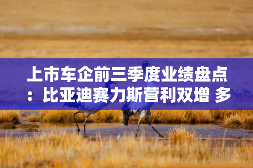 上市车企前三季度业绩盘点：比亚迪赛力斯营利双增 多家车企利润大幅下滑