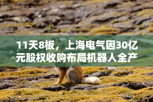 11天8板，上海电气因30亿元股权收购布局机器人全产业链再涨停