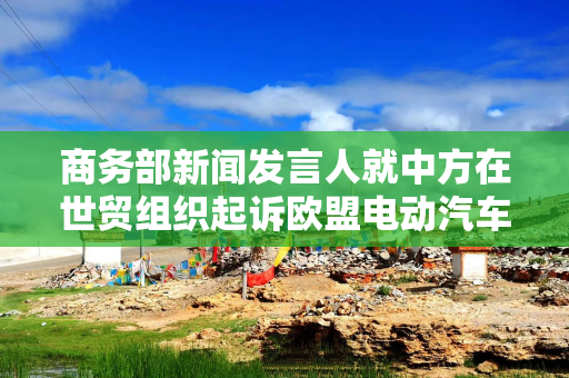 商务部新闻发言人就中方在世贸组织起诉欧盟电动汽车反补贴终裁措施答记者问