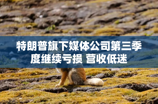 特朗普旗下媒体公司第三季度继续亏损 营收低迷