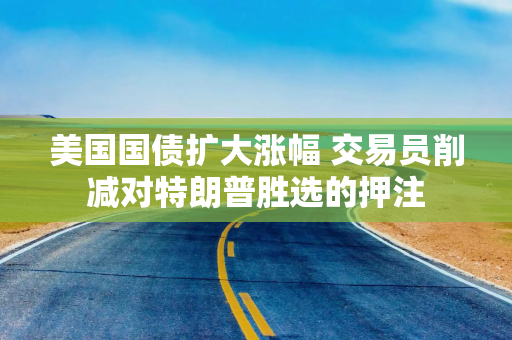 美国国债扩大涨幅 交易员削减对特朗普胜选的押注