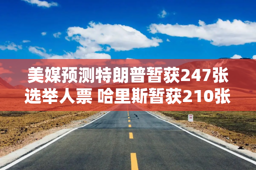 美媒预测特朗普暂获247张选举人票 哈里斯暂获210张
