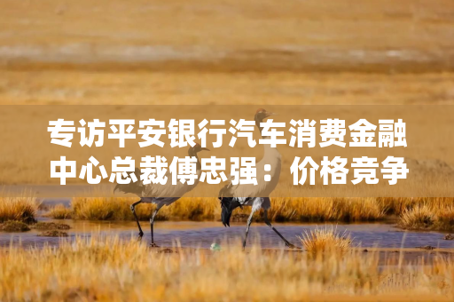 专访平安银行汽车消费金融中心总裁傅忠强：价格竞争不可持续  要练好金融“基本功”｜新金融·造新车
