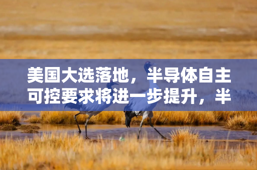 美国大选落地，半导体自主可控要求将进一步提升，半导体ETF（512480）收盘涨3.05%，重仓股全线飘红！