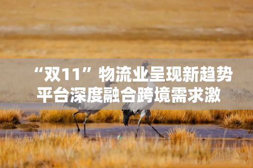 “双11”物流业呈现新趋势 平台深度融合跨境需求激增