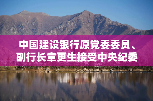 中国建设银行原党委委员、副行长章更生接受中央纪委国家监委审查调查