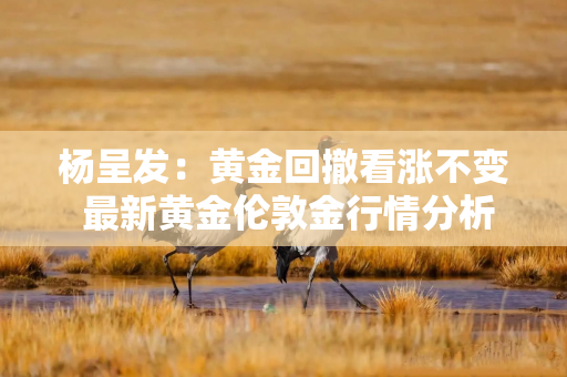杨呈发：黄金回撤看涨不变 最新黄金伦敦金行情分析