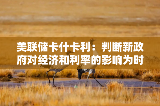 美联储卡什卡利:判断新政府对经济和利率的影响为时尚早