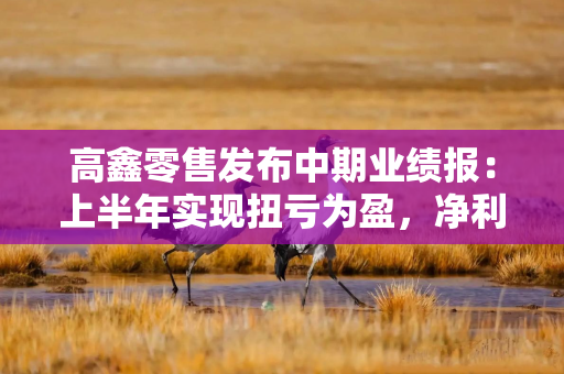 高鑫零售发布中期业绩报：上半年实现扭亏为盈，净利润1.86亿元