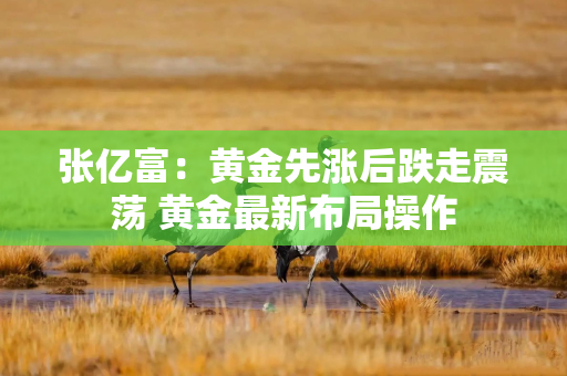 张亿富：黄金先涨后跌走震荡 黄金最新布局操作